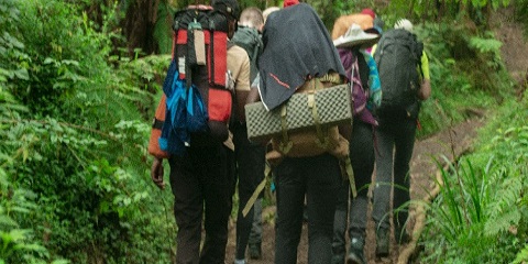 9-Day Private Budget Mount Kilimanjaro Climbing via the Lemosho Route in October, Tanzania, Africa