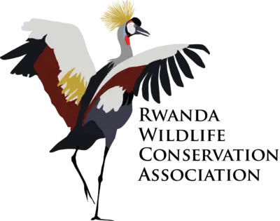 Rwanda Wildlife Conservation Authority logo