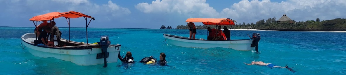 All Top Best Mnemba Island Tours in Zanzibar from Nungwi - Top Africa Tours