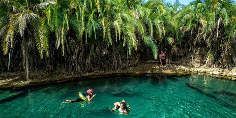 Safari privado de migração de médio alcance de 13 dias na Tanzânia, caminhada no Kilimanjaro e passeio cultural saindo de Moshi (2026 - 2027)