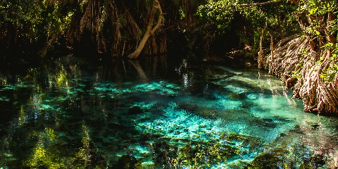 1 Day Private Chemka Hot Spring Trip from Kilimanjaro Airport (Jro) in Tanzania (2026 - 2027)