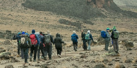 6-Day Group Budget Mount Kilimanjaro Climbing via the Rongai Route From South America to Tanzania, Africa