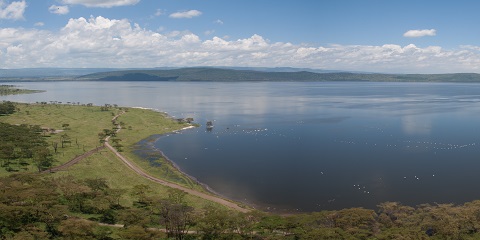 Ọjọ 1 Aladani Lake Naivasha National Park Safari lati Nairobi, Kenya (2026 - 2027)
