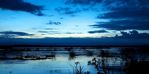 18 Araw ng Kenya at Tanzania Pribadong Mid-Range Safari at Zanzibar Honeymoon Tour mula sa Nairobi (2026 - 2027)