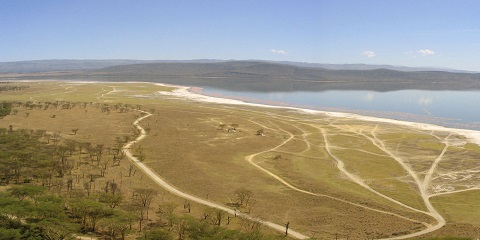 6-Day Private Mid-Range Safari from Mombasa in Kenya