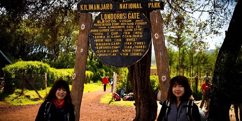1-daagse wandeling Shira - Londorossi-route op de Kilimanjaro vanuit Arusha in Tanzania (2026 - 2027)
