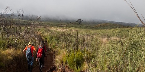 7 Days Budget Group Climb – Marangu Route, Mt Kilimanjaro