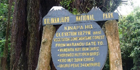 14 jours de safari privé de milieu de gamme sur la migration du Serengeti et de randonnée au Kilimandjaro au départ de Moshi en Tanzanie (2026 - 2027)