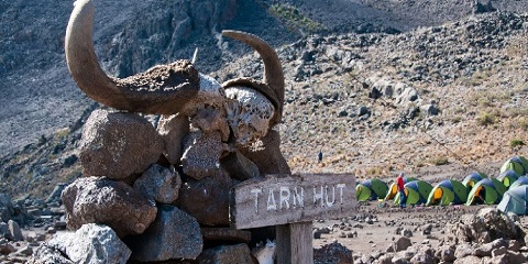 Mawenzi Tarn Huts