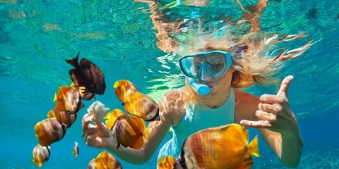 Wisata Pulau Mnemba Pribadi 1 Dina saka Pantai Mchangani ing Zanzibar (2026 - 2027)