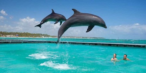 15 Araw na Mid-Range Tanzania Safari at Zanzibar Beach mula sa Kilimanjaro International Airport (Jro) (2026 - 2027)