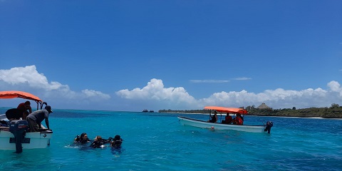 1 Day Private Mnemba Island Tour from Nungwi in Zanzibar (2026 - 2027)