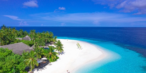 1 Day Private Mnemba Island Tour from Bwejuu in Zanzibar (2026 - 2027)