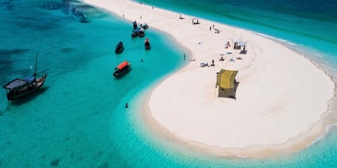 1-dags privat Mnemba Island-tur fra Pingwe i Zanzibar (2026 - 2027)