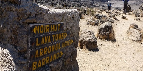 10 ڏينهن گروپ بجيٽ Kilimanjaro تي چڙهڻ اتر سرڪٽ رستي تانزانيا ۾ موشي کان (2026 - 2027)