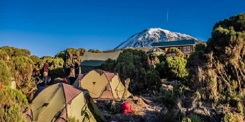 10日团体中程乞力马扎罗山攀登（从坦桑尼亚莫希出发，经北部环线路线）（2026 - 2027）