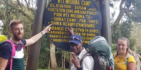 탄자니아 킬리만자로 공항(Jro)에서 Lemosho 루트를 통해 7일 그룹 중급 킬리만자로 등반(2026~2027)