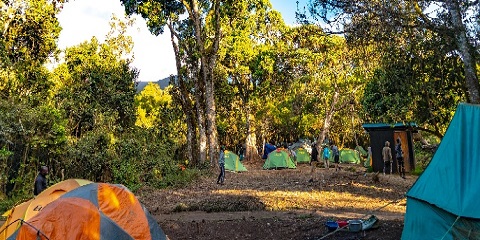 10 Days via Lemosho Route Group Budget Climbing Tour
