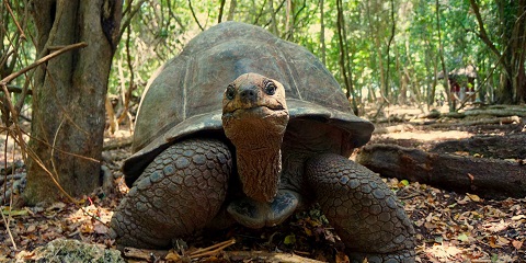 1 dags einkaferð um borg, krydd og fangelsiseyjar frá Zanzibar flugvelli (2026 - 2027)