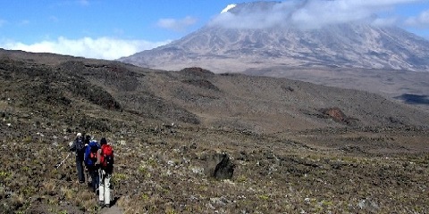 7-Day Private Luxury Kilimanjaro Climbing Tour via the Rongai Route in Tanzania, Africa from Asia