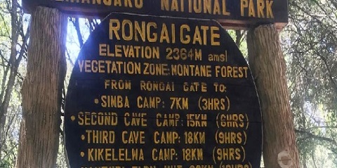 6-Day Group Mid-Range Mount Kilimanjaro Climbing Tour in Tanzania, Africa via the Rongai Route from Europe