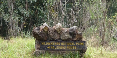 Rongai Gate