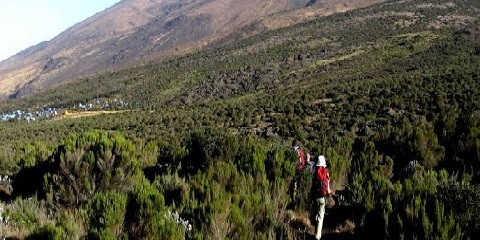 6-Day Group Mid-Range Mount Kilimanjaro Climbing Trek via the Rongai Route in Tanzania, Africa from Asia