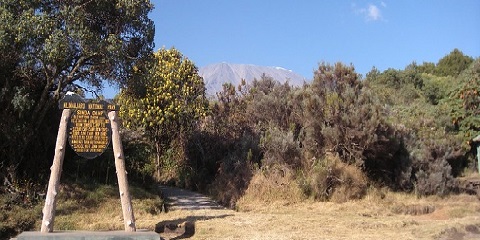 タンザニアのアルーシャ発、ロンガイルート経由のグループ中距離キリマンジャロ登山7日間（2026年～2027年）