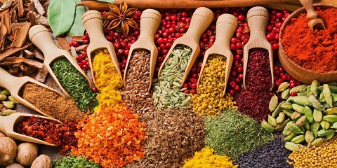 Half-Day Private Spice Tour from Nungwi in Zanzibar (2026 - 2027)