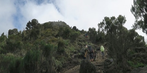 Rukunin Kwanaki 7 Tsakanin Range Kilimanjaro Hawa ta hanyar Umbwe daga Moshi a Tanzaniya (2026 - 2027)