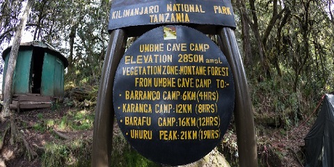 6-Day Private Luxury Kilimanjaro Climbing Tour in Tanzania, Africa via the Umbwe Route from Europe