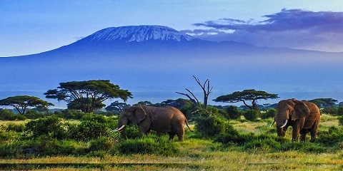 6 Days Private Luxury;Nakuru,Masaimara,Naivasha,&Amboseli