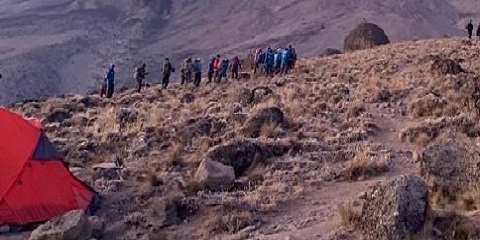 மோஷியில் இருந்து கொசோவோ முகாமுடன் உம்ப்வே பாதை வழியாக 6-நாள் குழு மத்திய-தரப்பு மவுண்ட் கிளிமஞ்சாரோ ஏறுதல்
