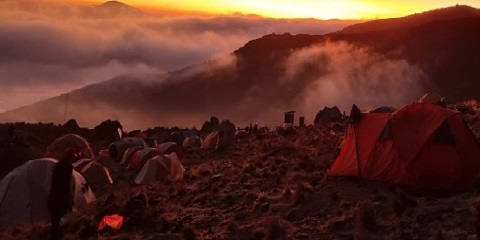 8 jours d'ascension du Kilimandjaro en groupe de milieu de gamme via la route Lemosho depuis Arusha en Tanzanie (2026 - 2027)