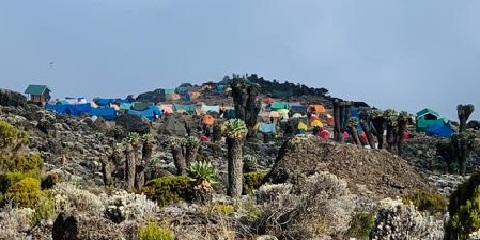 7 Days Budget Group Hiking via Machame Route from Arusha