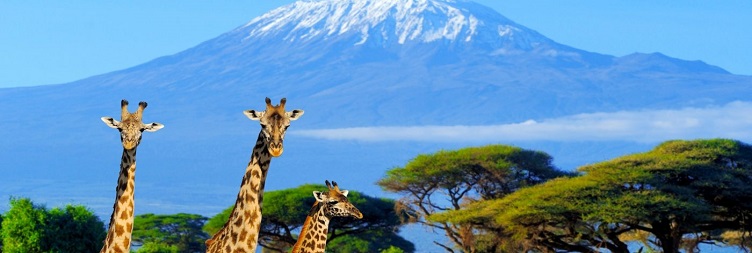 Amboseli National Park - Nairobi