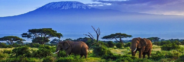 Amboseli National Park - Nairobi