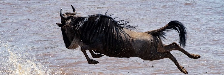 Nairobi to Amboseli National Park