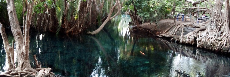 Moshi t o Materuni Waterfalls + Chemka Hot Springs (Kikuletwa)