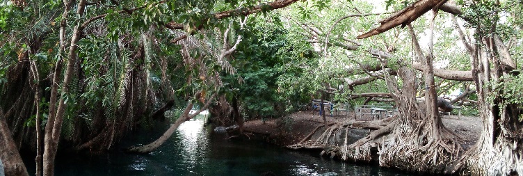 Chemka Hot Spring Day Trip