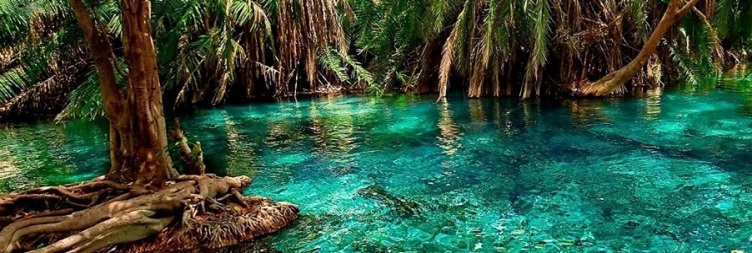 Chemka Hot Spring Day Trip 