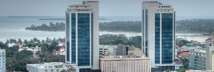 Zanzibar to Dar es Salaam and fly back to your home country