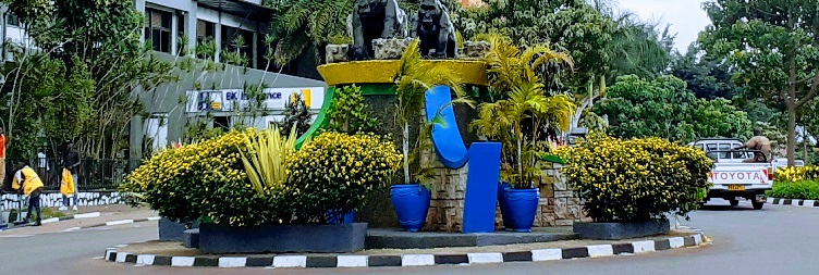 Kigali City Tour and Drive to Bwindi Impenetrable Fores