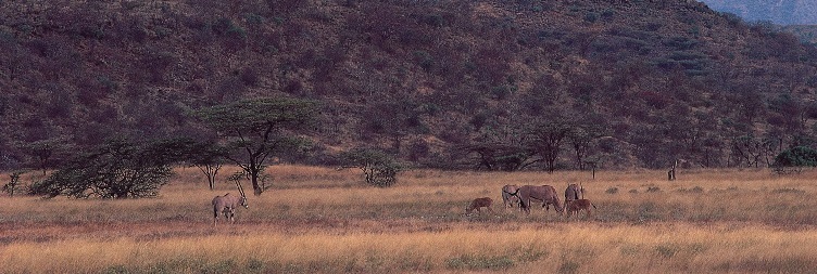 Lake Naivasha National Park to Nairobi