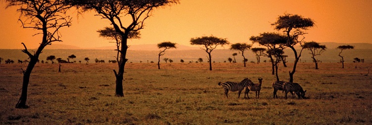 Lake Naivasha National Park – Nairobi – Fly to Zanzibar