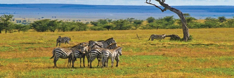 Lake Nakuru National Park to Lake Naivasha National Park