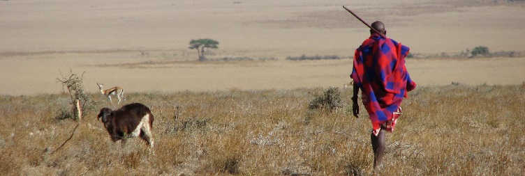 Патување во паркот на змијата Месерани