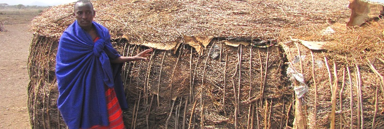 Full Day in Masai Mara