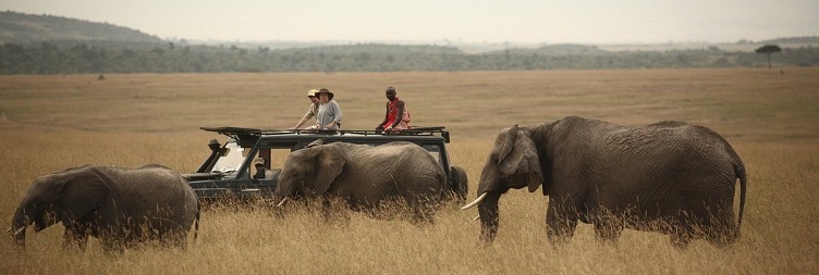 Amboseli National Park ~ Nairobi