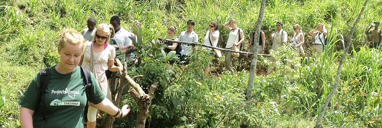 Materuni Waterfalls And  Cultural Day Trip